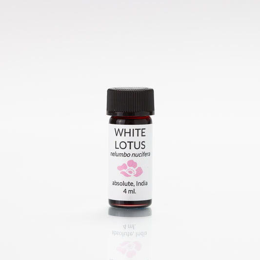 white lotus absolute