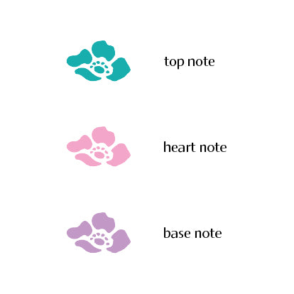Key to Ingredient Labels : Colored flowers indicate top, middle or base note essence.